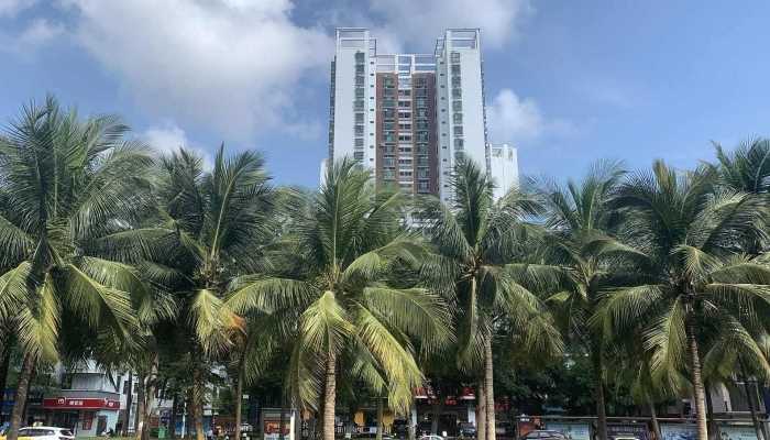 海南多地高温来袭部分高达38℃以上 博鳌亚洲论坛博鳌有阵雨最高31℃