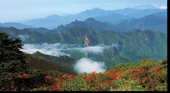 历山舜王坪风景区