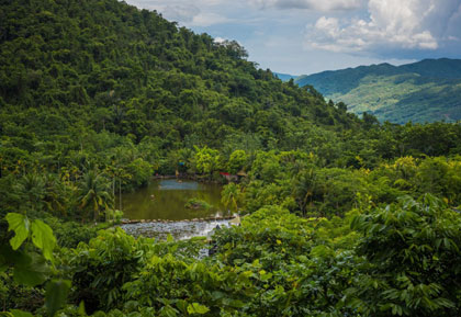 呀诺达雨林文化旅游区