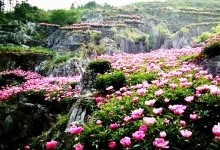 丫山花海石林