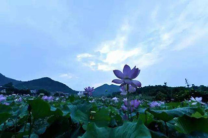 夏明翰故居