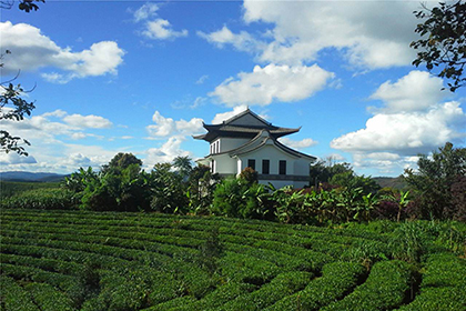 中华普洱茶博览苑