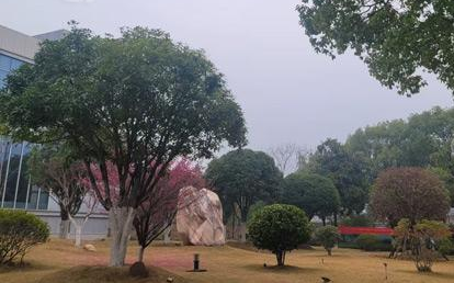 今天上午，长沙阴天