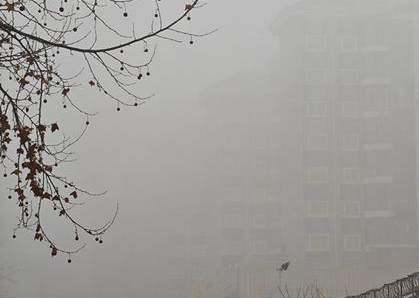 2月28日早晨，山东烟台现大雾天气，建筑物时隐时现