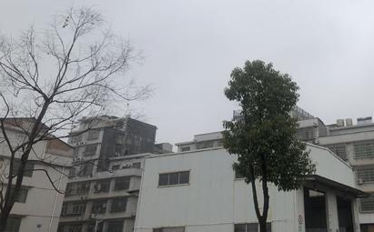 今天上午，长沙天空阴沉
