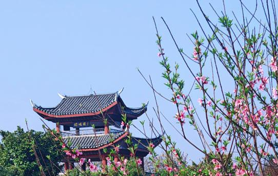 今天上午，怀化洪江市春光明媚