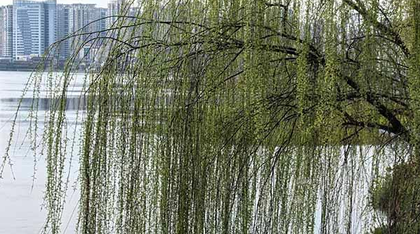 今日，湖南常德天气晴暖