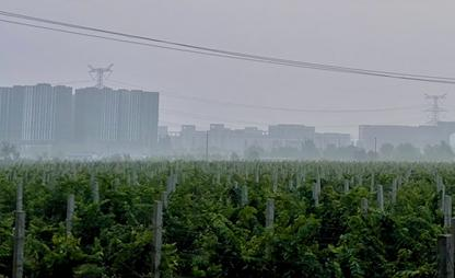 今晨，北京大部地区出现轻雾或雾
