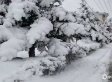 【内蒙古】内蒙古今日空气佳 明起迎春雨