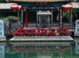 山东高温肆虐趵突泉进入饥渴状态 济南局部地区气温超39℃