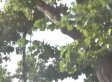 今北京7级大风继续吹 明日33℃来袭注意防暑