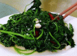 平定豆叶菜