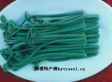 天然野生蕨菜