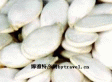 宝清大白板南瓜籽