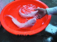 马良石头鱼