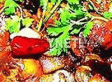 秘制奇味鸡煲