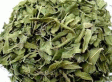 新疆罗布麻花茶