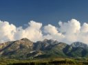 大泽山