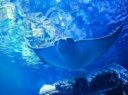 蓬莱极地海洋世界