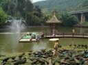 孔雀湖