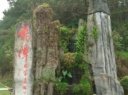 龙潭森林公园