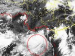 台风小熊路径实时发布系统今天 4号台风由热带风暴减弱为热带低压