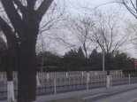 今北京大风减弱多云转晴 除夕春节天气不错
