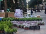 广东降温太快的后果：一股樟脑丸味  明有所回升