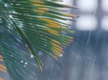 台风“圆规”接档“狮子山”影响华南 广东台湾省等有强风雨