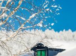 12月第一天黑龙江仍有降雪 哈尔滨等有阵雪