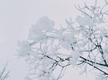 10月21日国外天气预报：北欧西部东欧东部等仍较强降雪