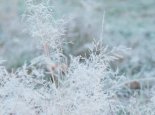 今贵州部分地区仍有雨雪或冻雨 贵阳最高气温仅-1℃