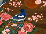 太阳花的花语是什么