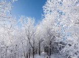 重庆酉阳高海拔地区出现雾凇 未来三天高海拔区持续降雪