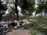 济南市发布雷电黄色预警 街头多辆电动车被大风吹倒