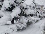 【内蒙古】内蒙古今日空气佳 明起迎春雨