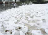 今年冬季可能出现极端天气 预测今冬北方气温或较常年同期低