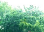 今福建仍有较强降雨 福州大雨转小雨