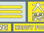 山东大雾侵袭多地能见度不足500米 受其影响多条高速入口关闭