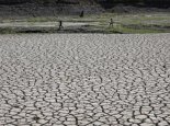 美洲多地出现极端干旱天气 美国巴西等多国水电吃紧