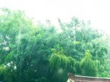 中央气象台发布中期天气预报：未来10天长江中下游持续降雨