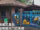 安徽一饲养员被老虎袭击身亡是怎么回事 动物园方道出原因