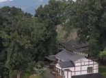 重庆这个村寨一棵树值北上广几套房 曾有人想买并承诺为村民修砖房