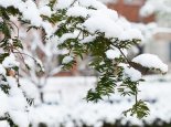 黑龙江新疆等局部仍有暴雪 内蒙古等部分地区较强大风