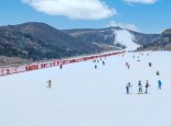 上海交大推出滑雪机器人有六只脚 网友：这个绝对稳妥