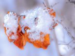 寒潮继续影响黑龙江多地低温寒冷 哈尔滨今夜最低气温降到-22℃