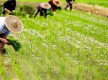 新土地法宅基地最新政策