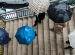 节后浙江阴雨天将上线 杭州夜间迎来2022年第一场雨