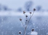 11月15日国外天气预报：西伯利亚北美洲西北仍有较强降雪