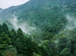 4名地质员遇难或因罗盘失灵失温所致  搜救人员曾发现失联人员被雨淋湿的火堆